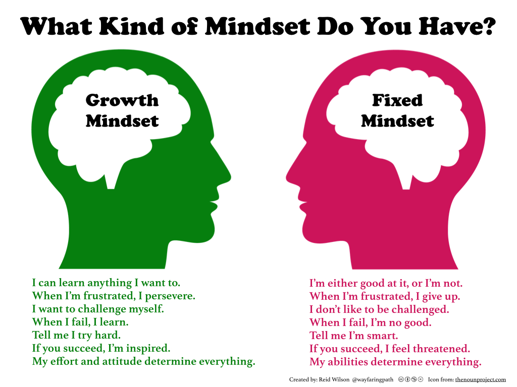 What kind of mindset do you have? Growth - Fixed.