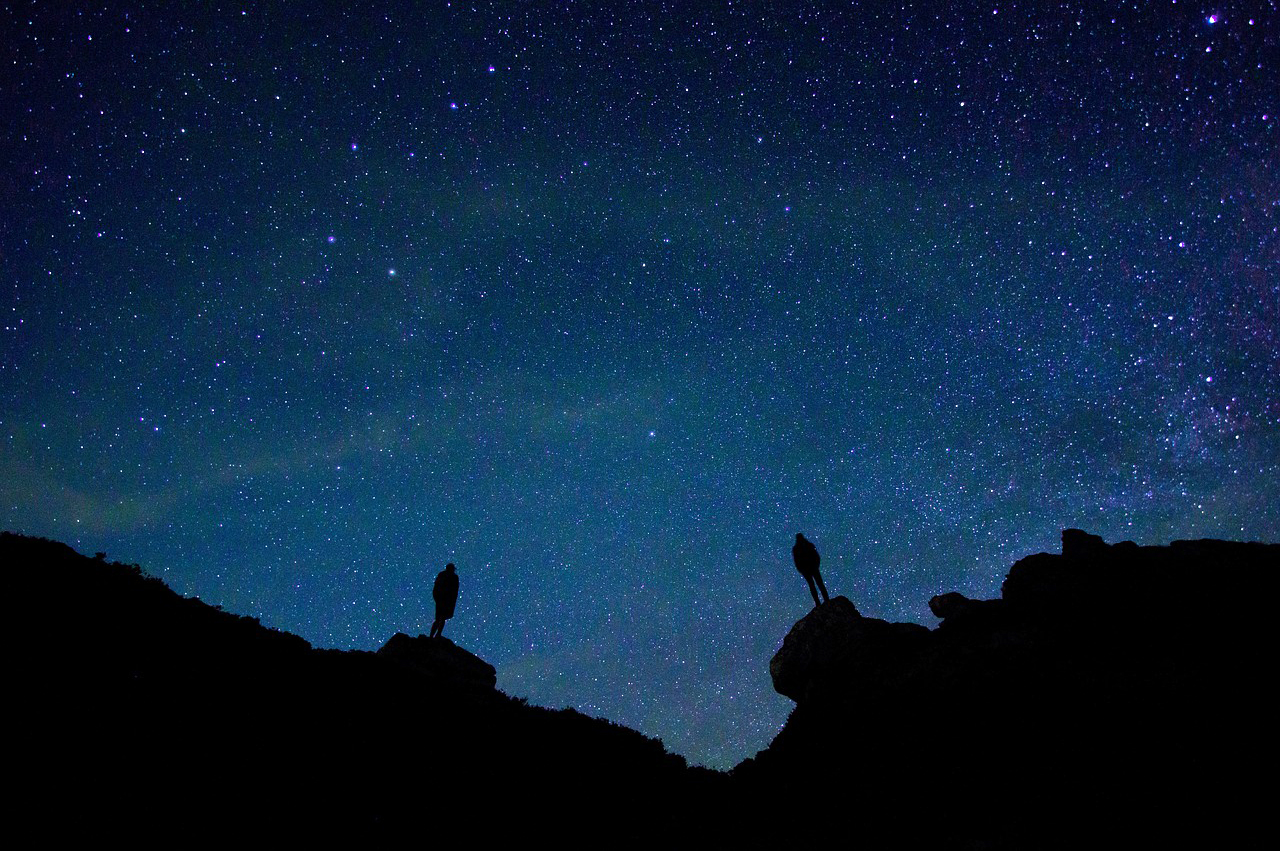 Silhouettes under a starry sky.